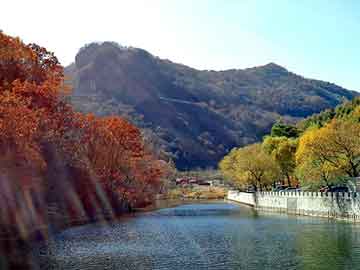 正版澳门天天开彩大全，自动注油器